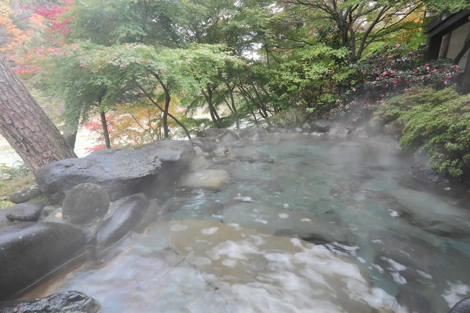 Kinugawa Onsen Hananoyado Matsuya: The large open-air bath among the trees
