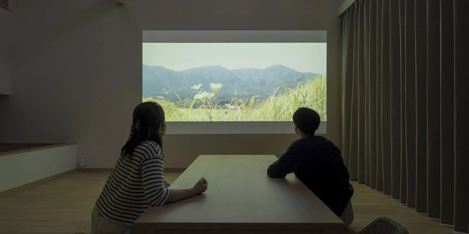 Rakuten STAY VILLA Kinugawa Riverside: A projector screen in a villa