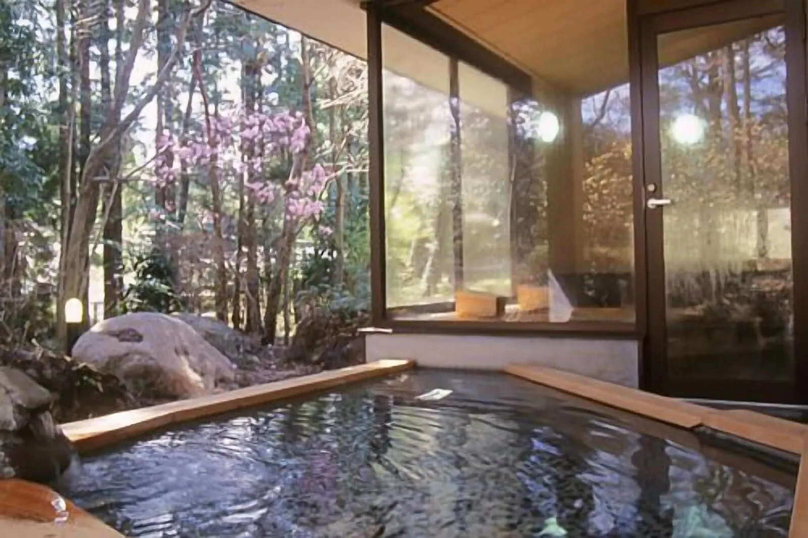 Hotel Seikoen: The open-air hot-spring bath among the trees