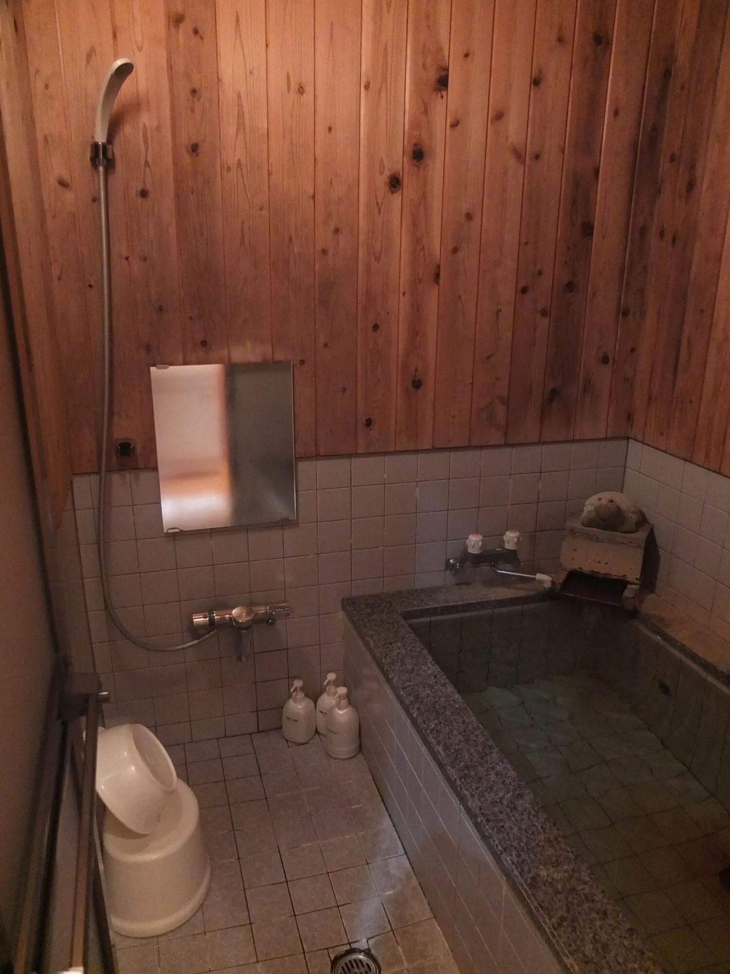 Turtle Inn Nikko: The bath