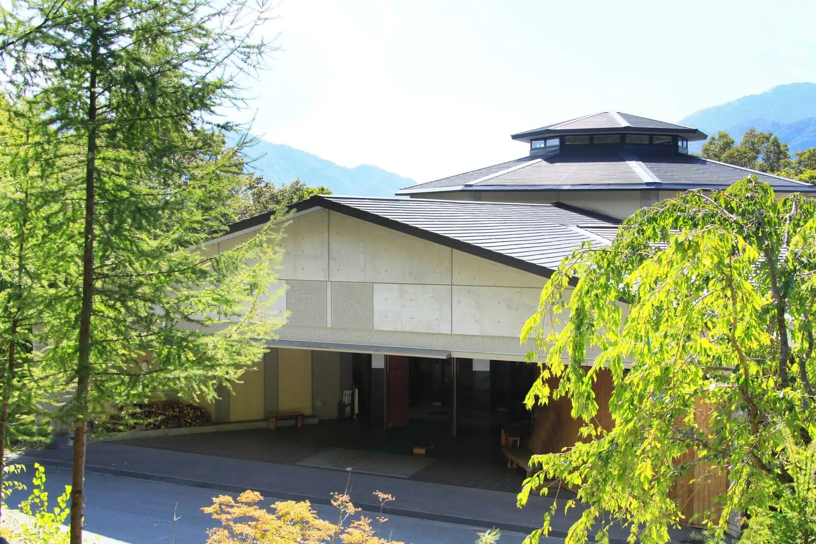 Okunikko Hotel Shikisai: The hotel among the trees