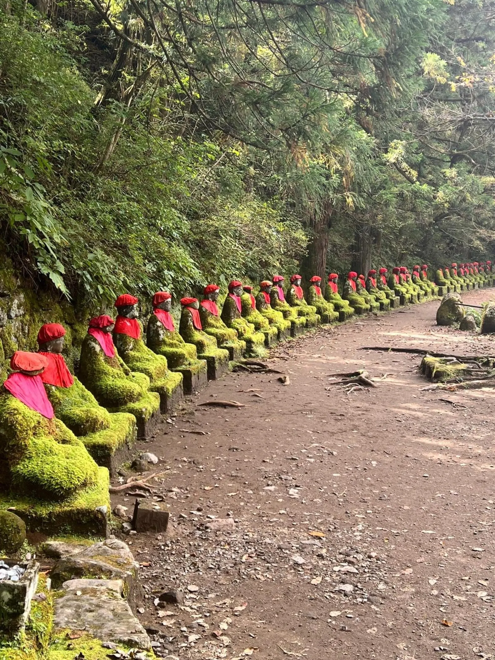 The row of moss-covered Narabi Jizo statues in red caps