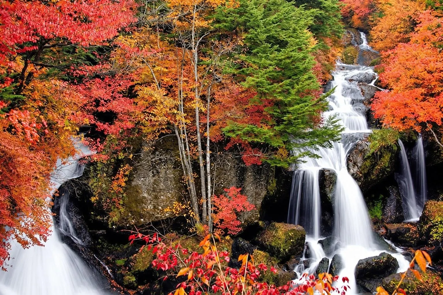 Ryuzu Falls through autumn maples