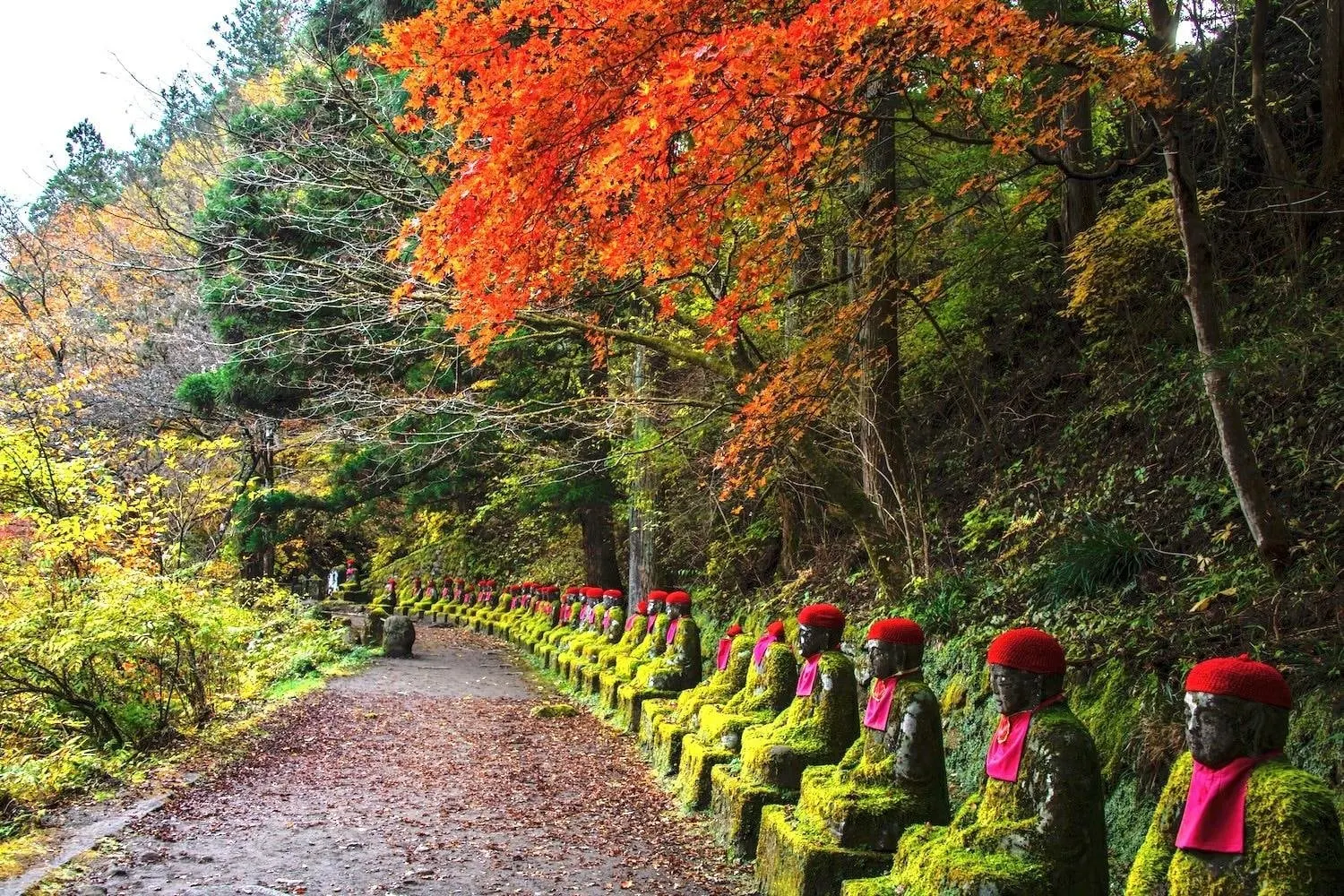 The red-capped Jizo statues of Kanmangafuchi